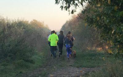 The Weekly Wellbeing Round-Up #20:  a miracle cure!